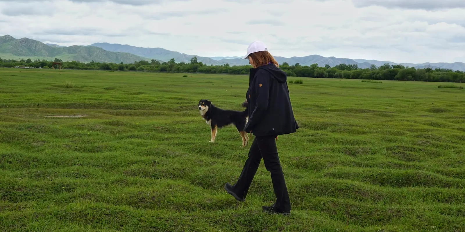 Une promeneuse et son chien traversent une grande prairie verte